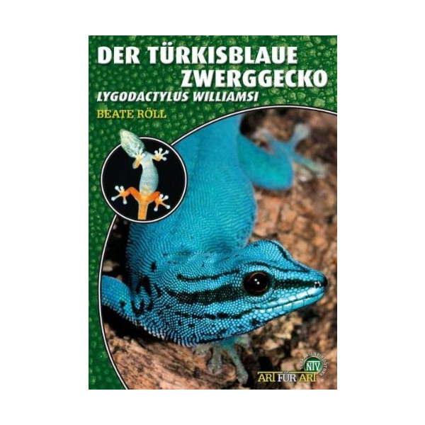 Der Türkisblaue Zwergtaggecko