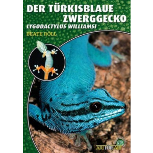Der Türkisblaue Zwerggecko