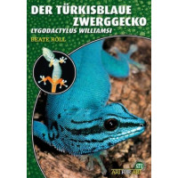 Der Türkisblaue Zwergtaggecko