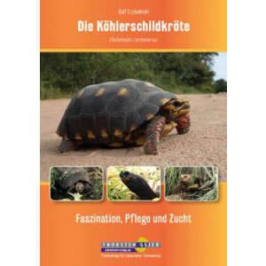 Die Köhlerschildkröte - Faszination, Pflege und...