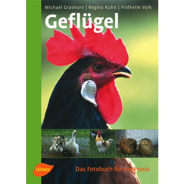 Fotobuch Geflügel
