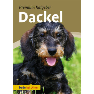 Dackel Premium Ratgeber