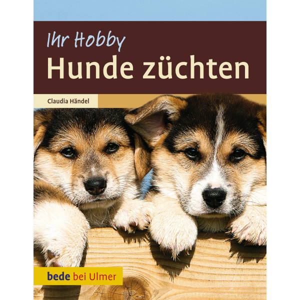 Hunde züchten Ihr Hobby