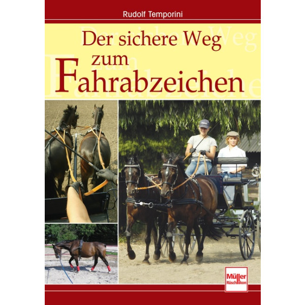 Der sichere Weg zum Fahrabzeichen