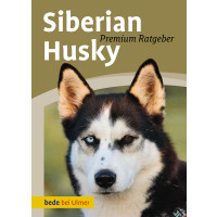 Siberian Husky Premium Ratgeber
