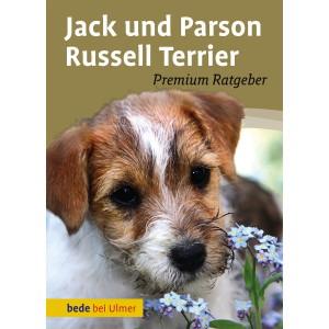 Jack und Parson Russel Terrier Premium Ratgeber