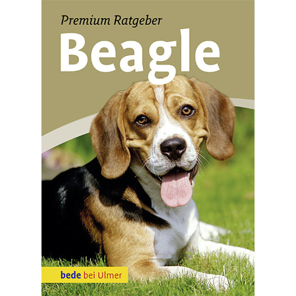 Beagle Premium Ratgeber