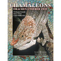Chamäleons- Drachen unserer Zeit