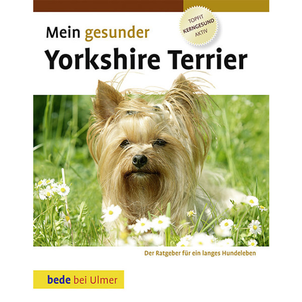 Yorkshire Terrier, Mein gesunder