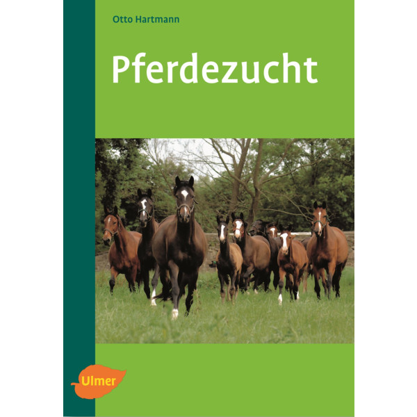 Pferdezucht