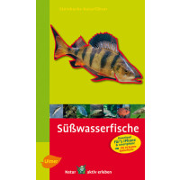 Süßwasserfische Steinbachs Naturführer