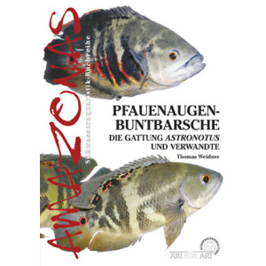 Pfauenaugen-Buntbarsche. Die Gattung Astronotus u Verw.