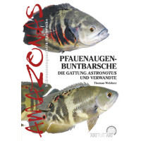 Pfauenaugen-Buntbarsche. Die Gattung Astronotus u Verw.