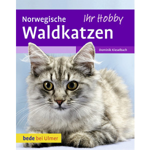 Norwegische Waldkatzen Ihr Hobby