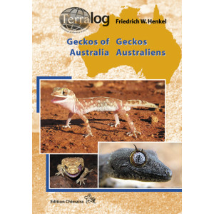 Geckos Australiens / Geckos of Australia