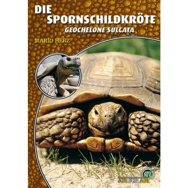 Die Spornschildkröte
