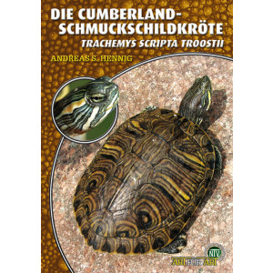 Die Cumberland - Schmuckschildkröte