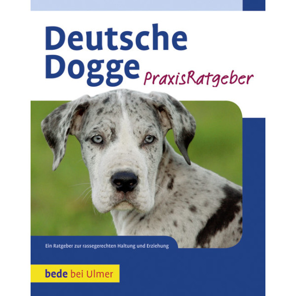 Deutsche Dogge Praxisratgeber