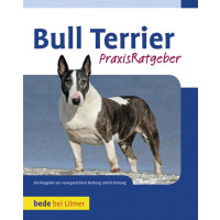 Bull Terrier Praxisratgeber