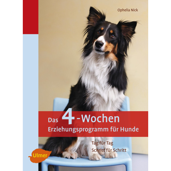Erziehungsprogramm für Hunde, Das 4-Wochen