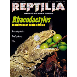 Reptilia 113 - Rhacodactylus (Juni / Juli 2015)