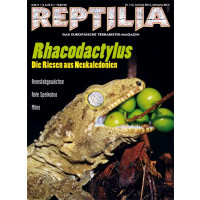 Reptilia 113 - Rhacodactylus (Juni / Juli 2015)