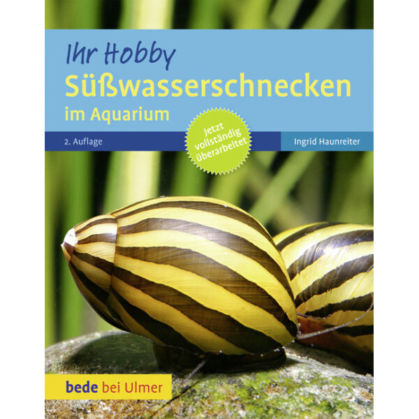 Süßwasserschnecken Ihr Hobby