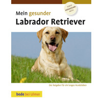 Labrador Retriever, Mein gesunder