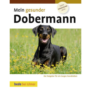 Dobermann, Mein gesunder