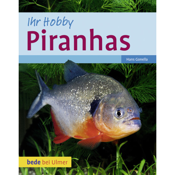 Piranhas Ihr Hobby