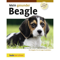 Beagle, Mein gesunder