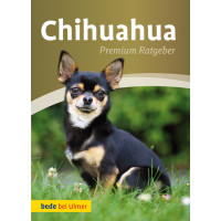 Chihuahua Premium Ratgeber