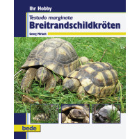 Breitrandschildkröten Ihr Hobby