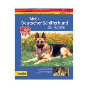 Schäferhund, Deutscher zu Hause
