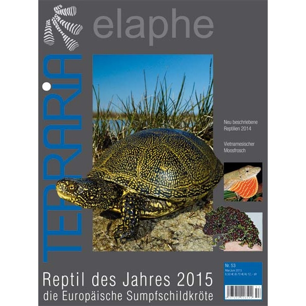 Terraria 53 - Reptil des Jahres 2015 die Europäische Sumpfschildkröte