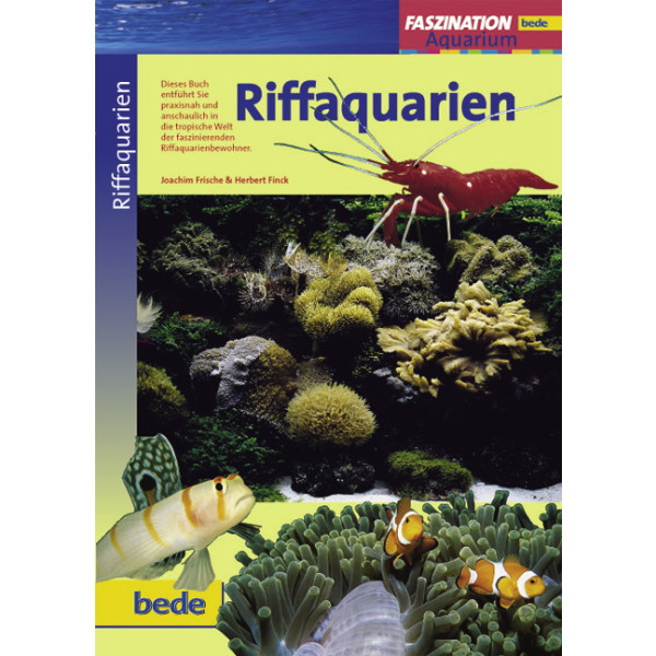 Faszination Riffaquarien