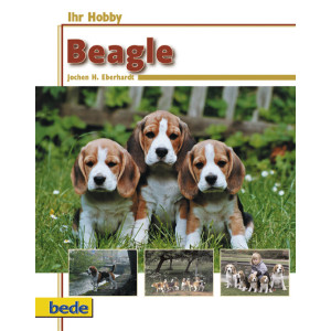 Beagle Ihr Hobby