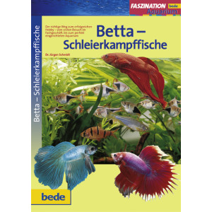 Faszination Betta-Schleierkampffisch