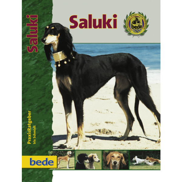 Saluki Praxisratgeber
