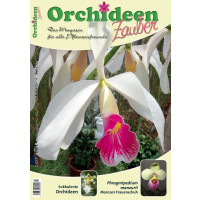 Orchideen Zauber 4 (Juli / August 2015)