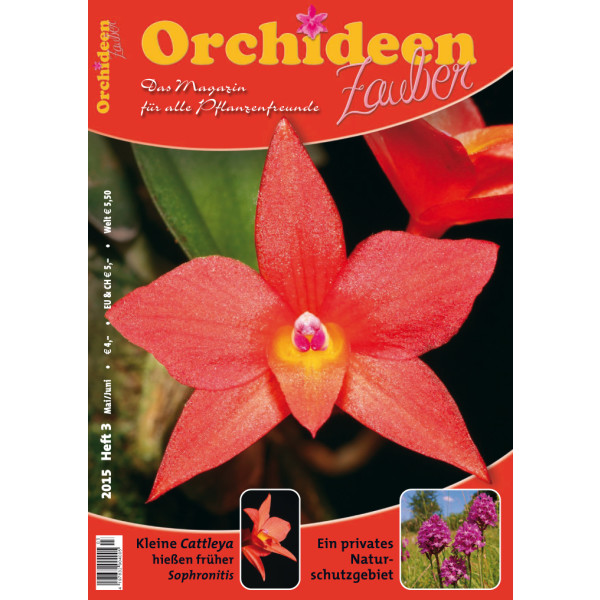 Orchideen Zauber 3 (Mai / Juni 2015)