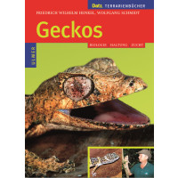 Geckos- Biologie Haltung
