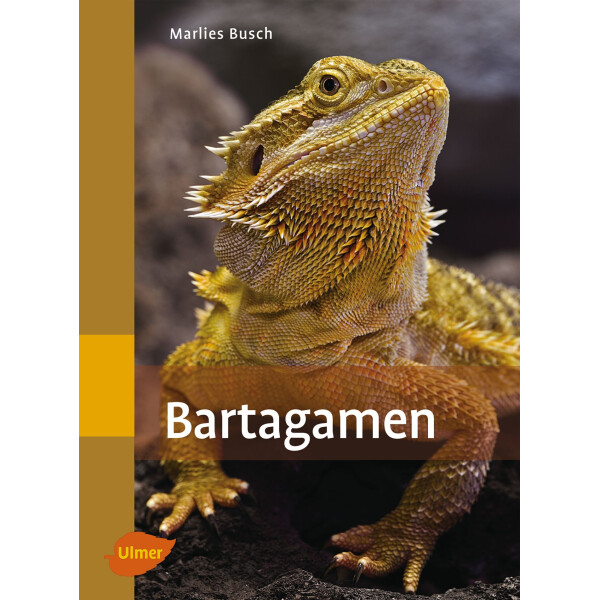 Bartagamen box