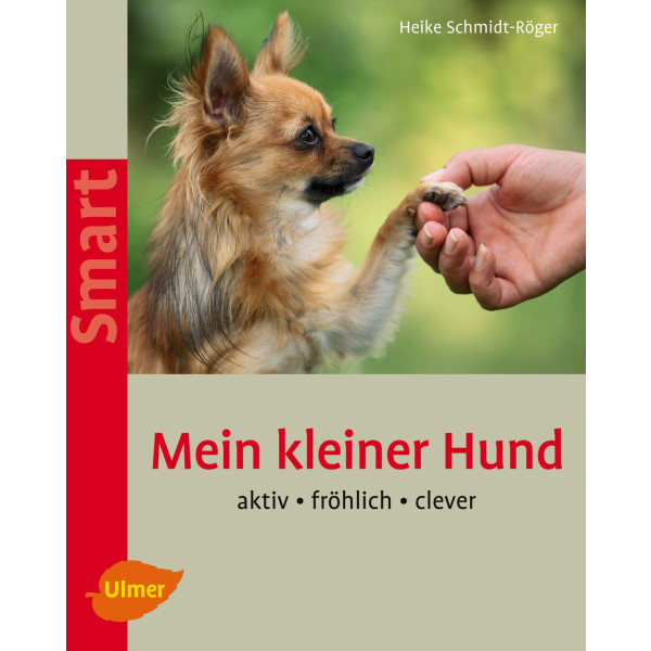 Kleiner Hund SMART, Mein