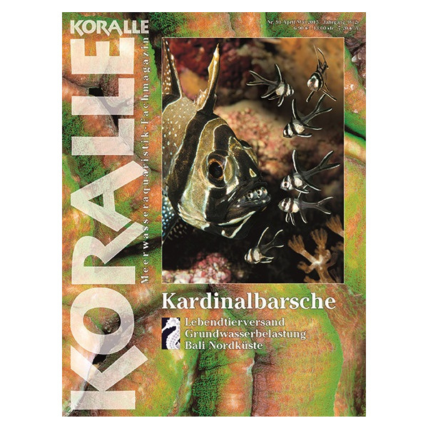 KORALLE 92 -  Kardinalbarsche (April / M box