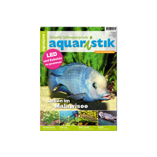 Aquaristik/Aquarium live 2/2015