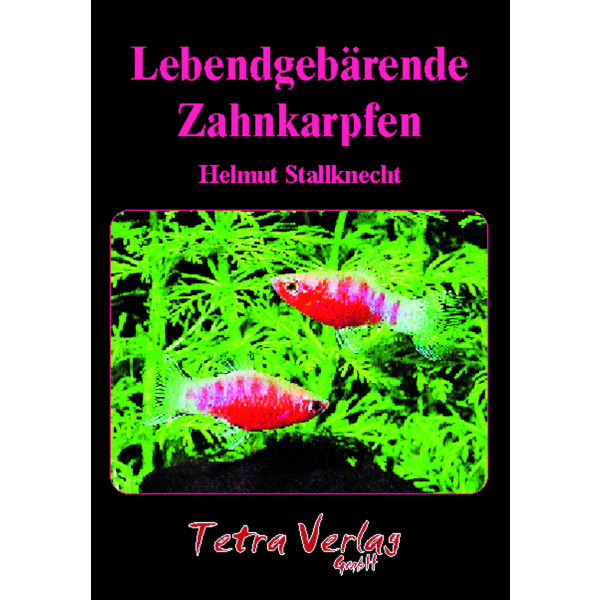 Lebendgebärende Zahnkarpfen box