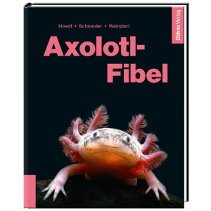 Axolotl-Fibel