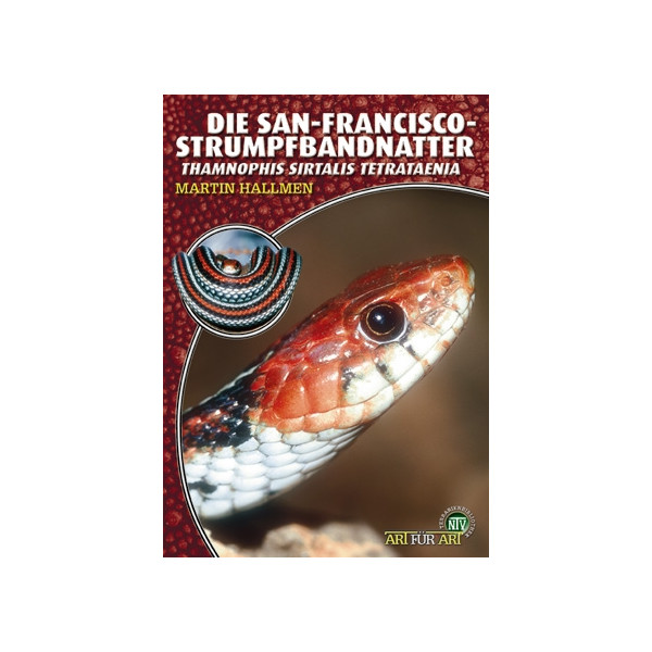 Die San-Francisco-Strumpfbandnatter