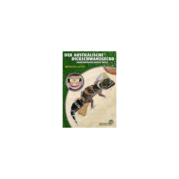 Der Australische Dickschwanzgecko